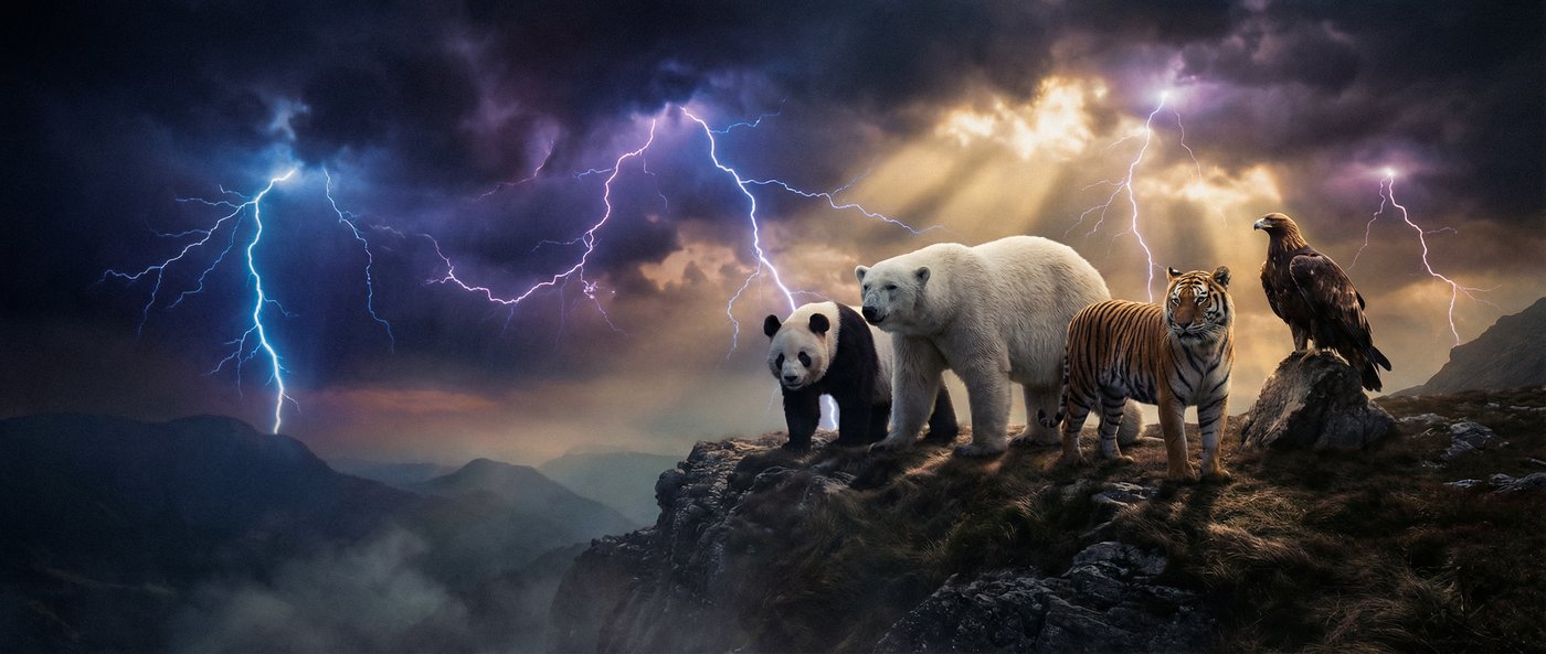 国产精品动物写真视频社区